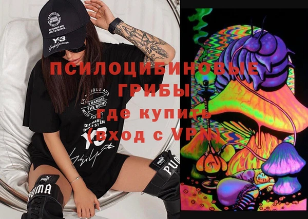 ПСИЛОЦИБИНОВЫЕ ГРИБЫ Бородино