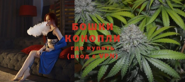 ПСИЛОЦИБИНОВЫЕ ГРИБЫ Бородино