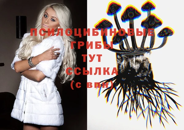 ПСИЛОЦИБИНОВЫЕ ГРИБЫ Бородино