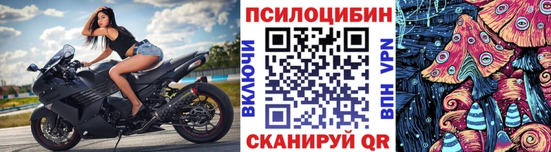 Галлюциногенные грибы мицелий  Купить закладки  Рубцовск 